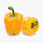 Color Bell Pepper