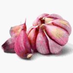Chesnok Red Garlic